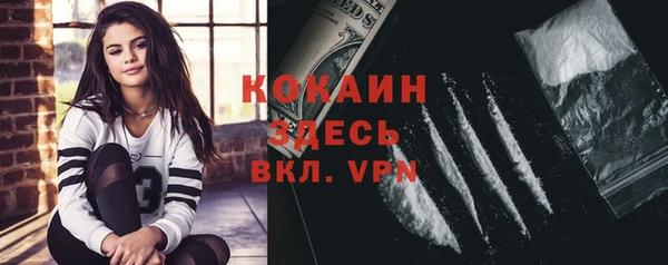 стафф Каменка