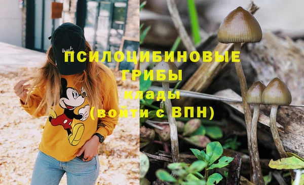 бутират Каменск-Шахтинский