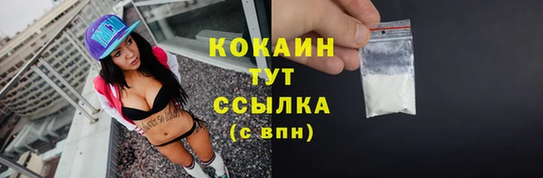 стафф Каменка