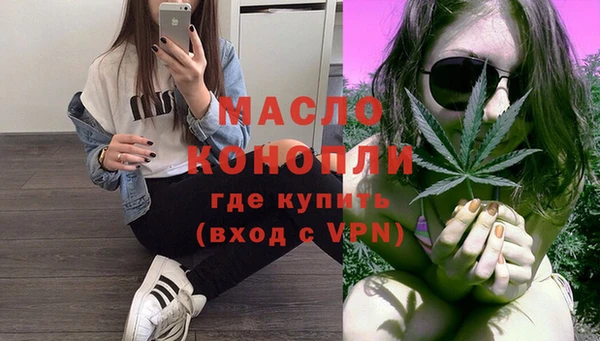 стафф Каменка