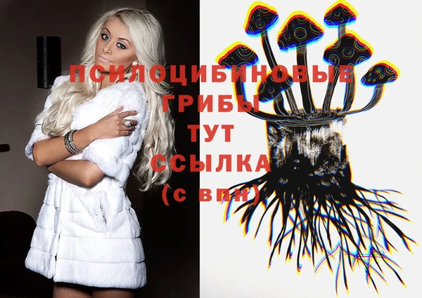 стафф Каменка