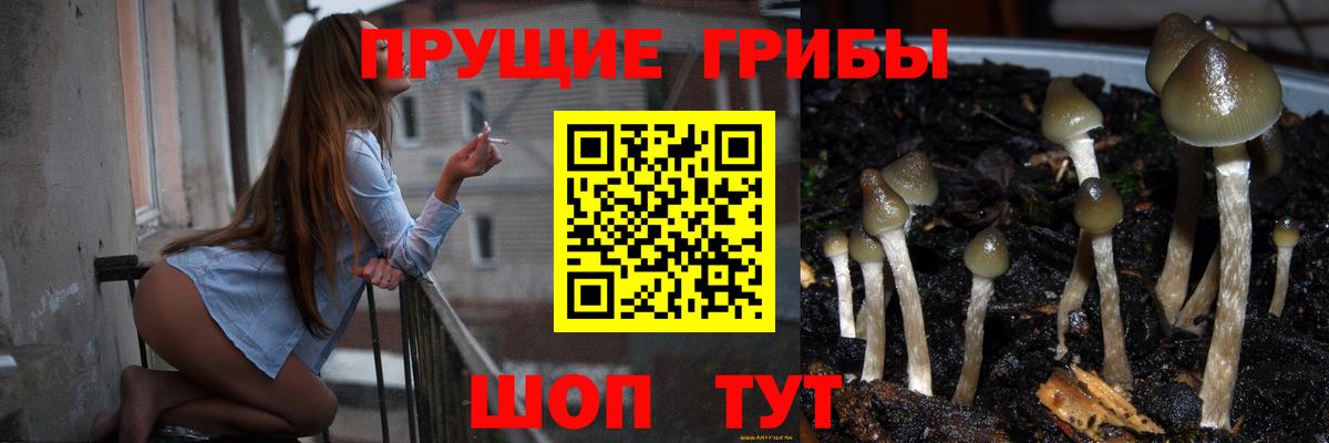 Галлюциногенные грибы Cubensis Среднеуральск