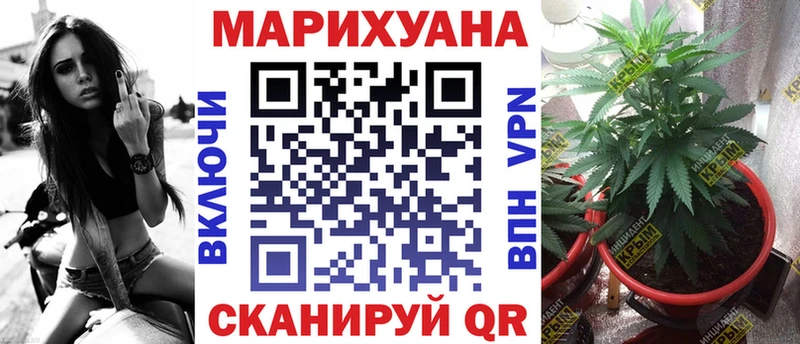 Канабис гибрид Среднеуральск